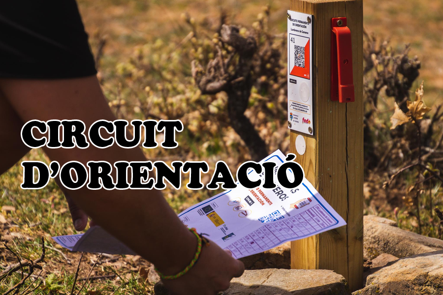 Circuits d'orientació