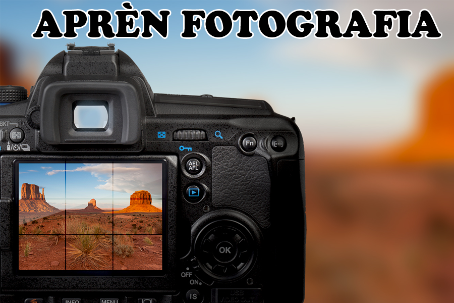 Curs de fotografia