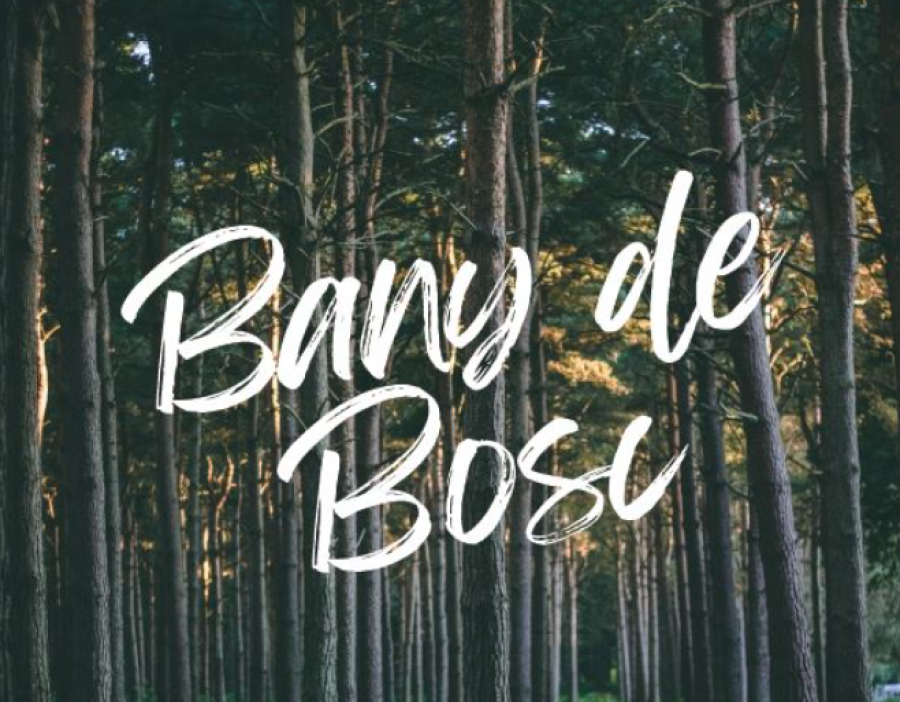 Bany de bosc amb Ricard Amaya