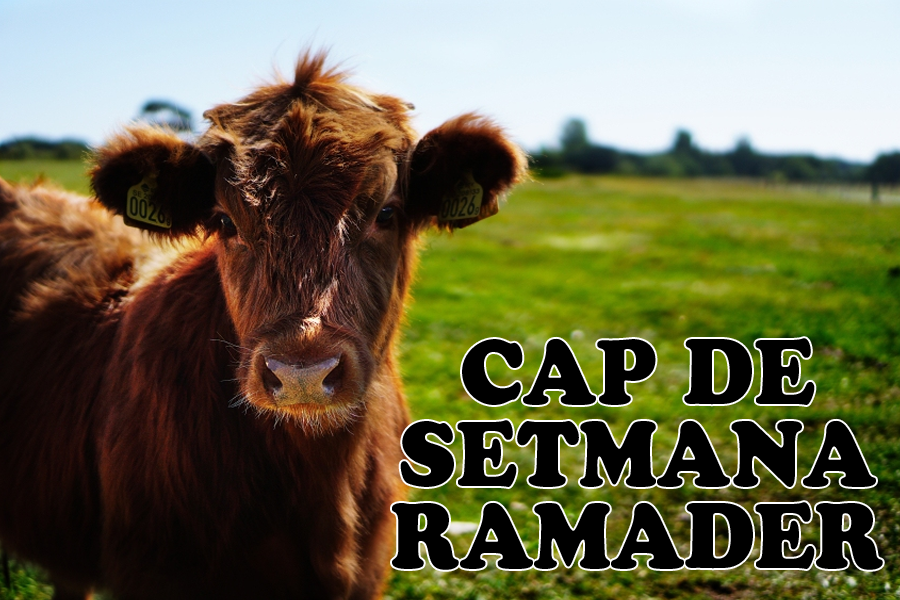 Cap de setmana ramader a Setcases