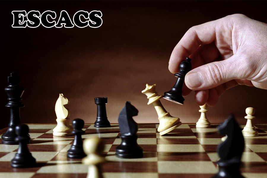 Taller: "Conèixer per conèixer-te"