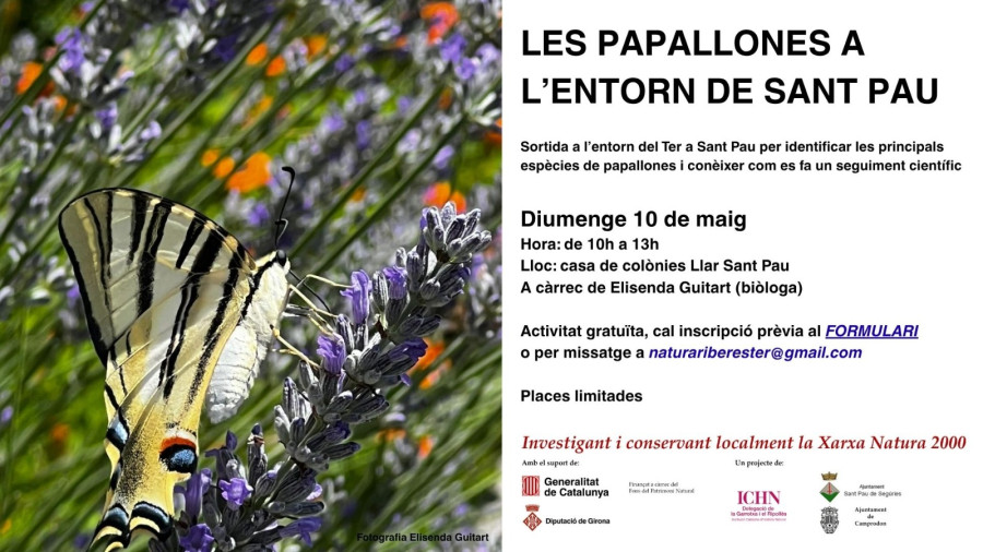 Les papallones a l’entorn de Sant Pau