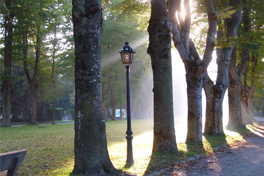 Ruta guiada a Camprodon: Estiueig