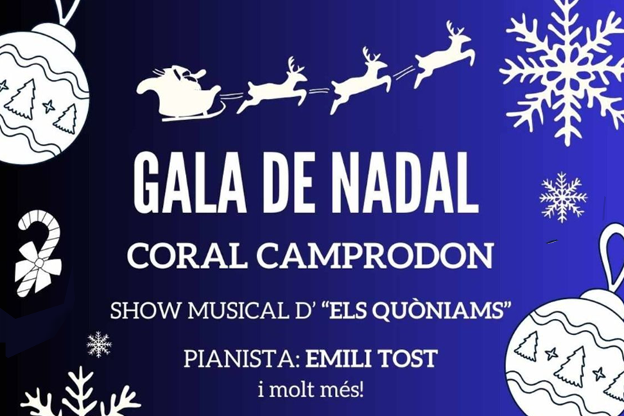 Gala de Nadal: Show musical "Els quòniams"