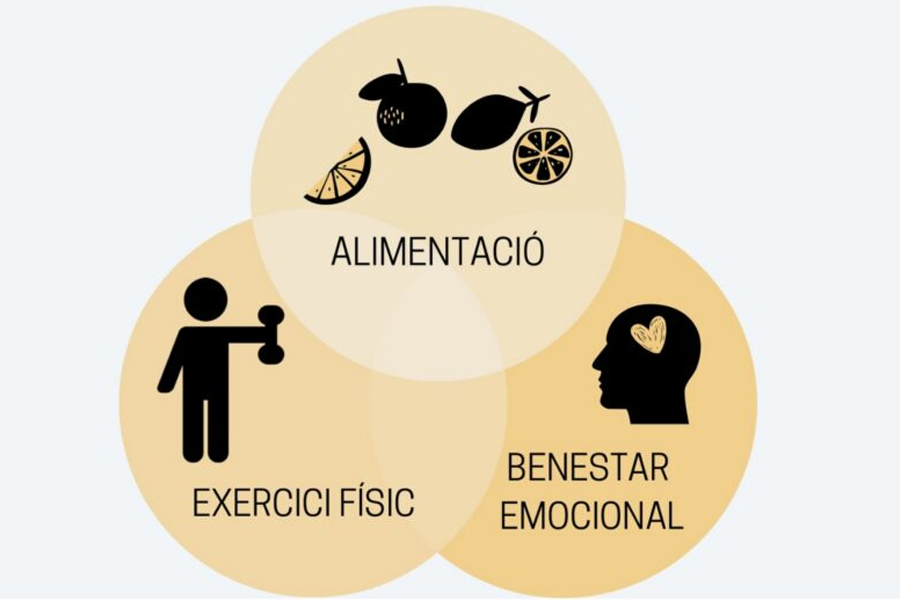 Tallers per millorar la salut de les persones majors de 65 anys