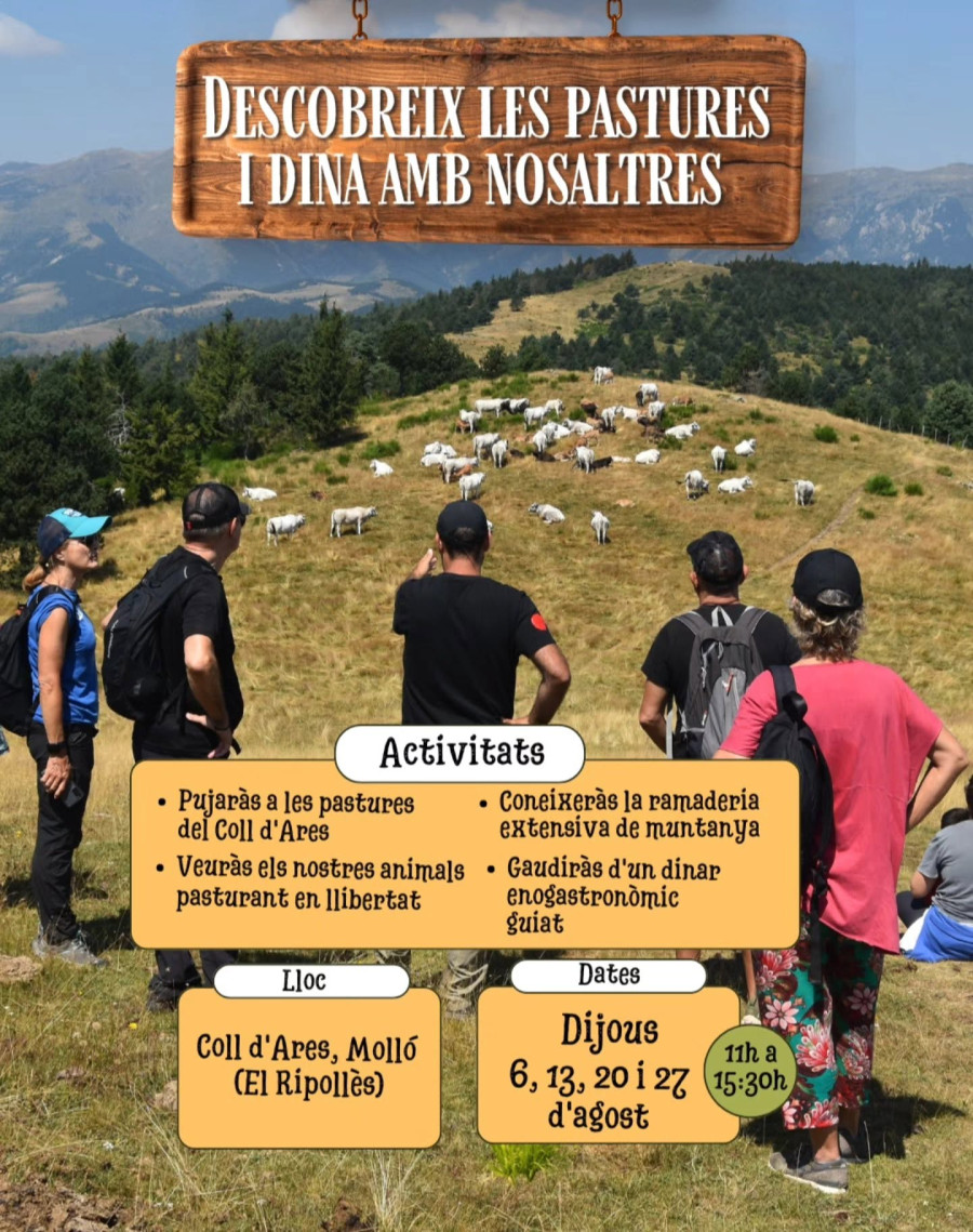Descobreix les pastures + Dinar