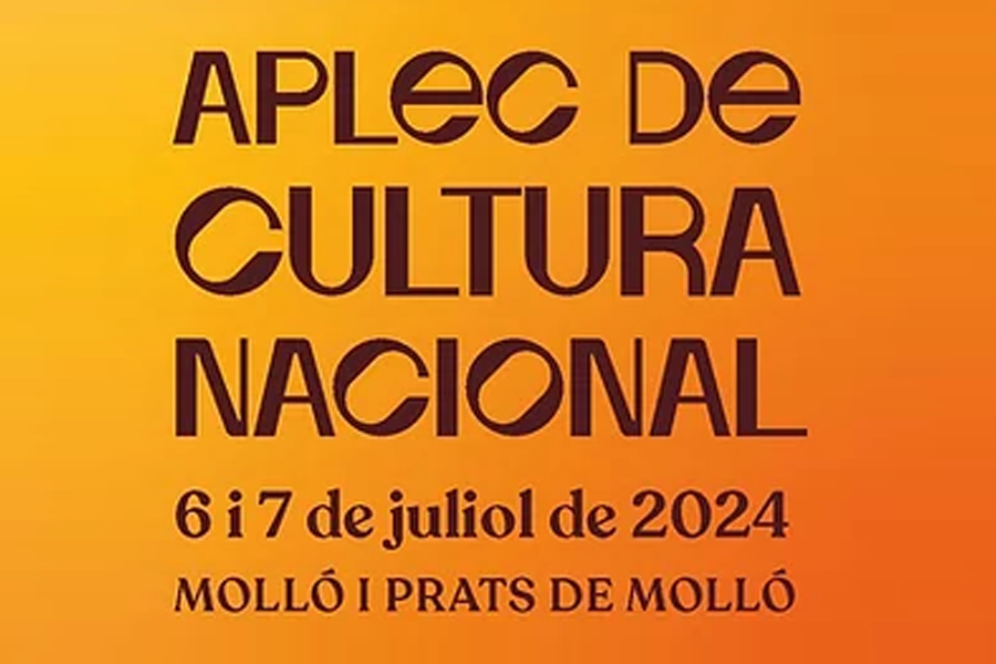 Dinar popular i sarsuela