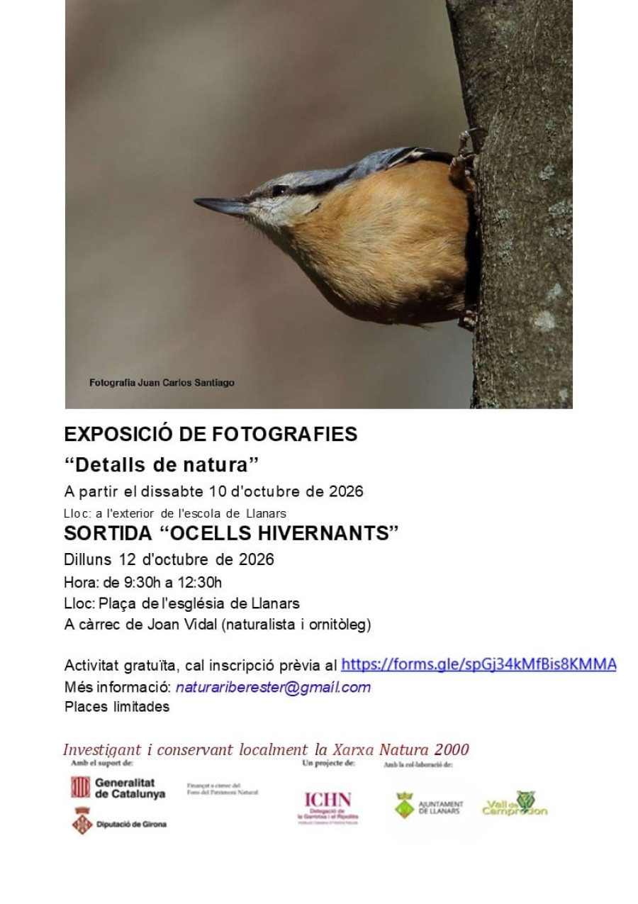 Sortida: Ocells hivernants