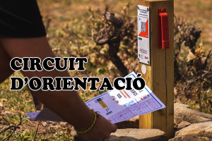Circuits d'orientació