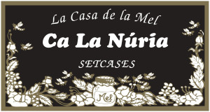 Taller de pinta cares