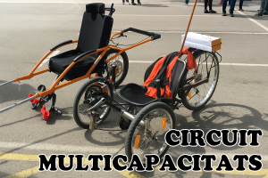 Circuit multicapacitats