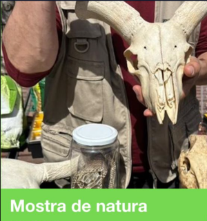 Mostra de natura