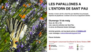 Les papallones a l’entorn de Sant Pau
