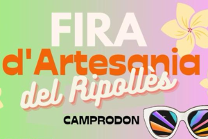 Mercat artesanal a Camprodon