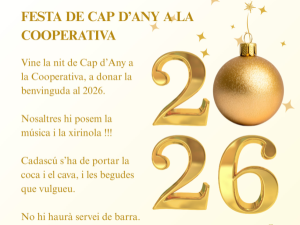 Festa de Cap d'Any