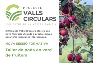 Sessió formativa del projecte Valls Circulars