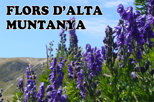 Descoberta local: iniciació a l'ornitologia