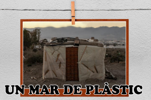Exposició: "Parelles Artístiques"