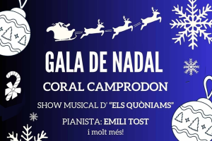 Gala de Nadal: Show musical "Els quòniams"