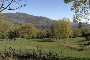 Ruta Camprodon - Coll Gener - Espinalva - Camprodon