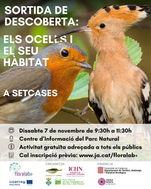 Sortida de descoberta: Els ocells i el seu hàbitat