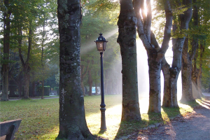 Ruta guiada "Camprodon, Vila estiueig"