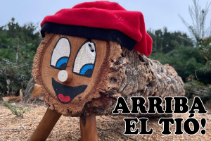 Arribada del tió