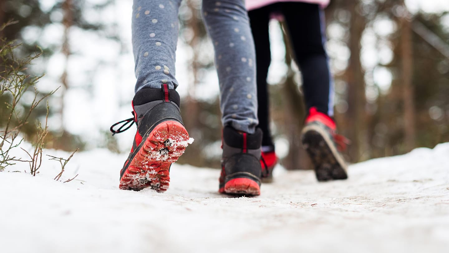 Family activities to enjoy the surroundings