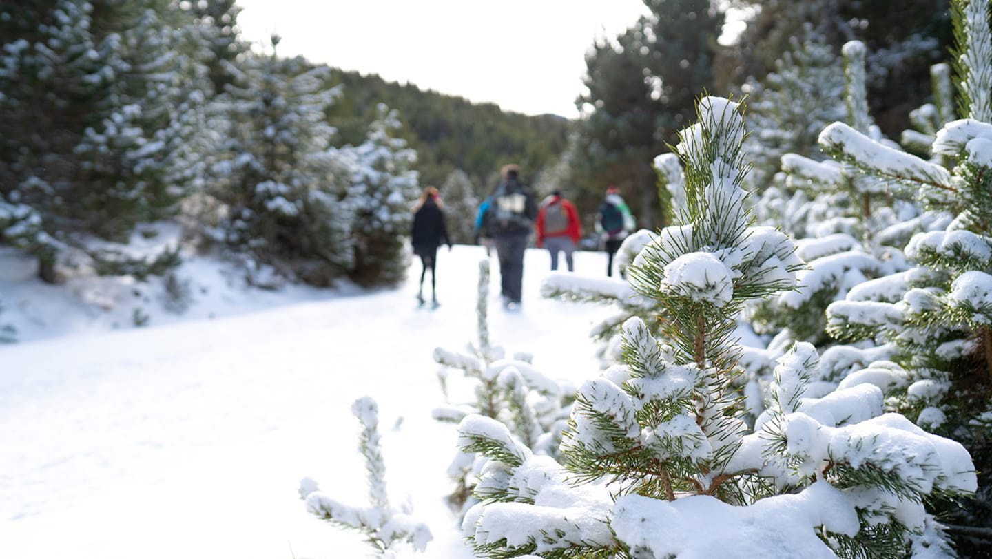 A walk to disconnect and contemplate the views